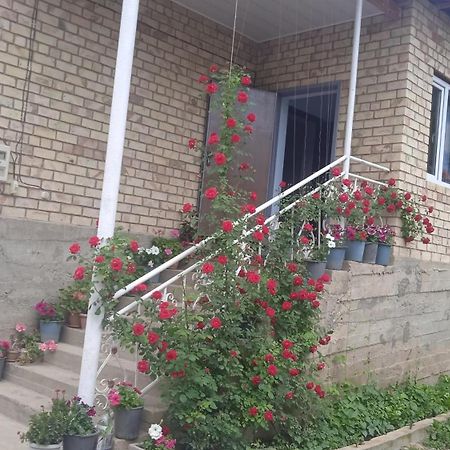 Guest House Kyzyl Alma Arkit ภายนอก รูปภาพ