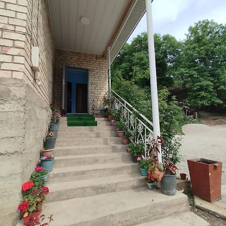 Guest House Kyzyl Alma Arkit ภายนอก รูปภาพ
